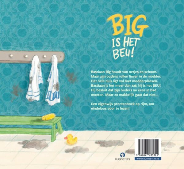 Big-is-het-beu-flaptekst-9789047635321
