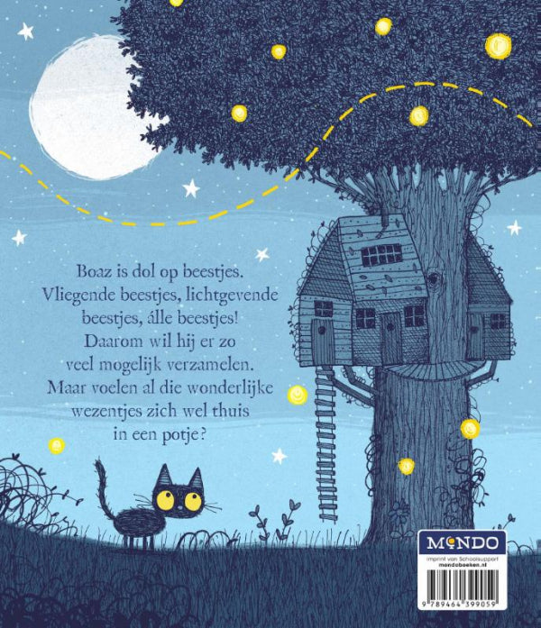 Boaz-verzamelt-beestjes-flaptekst-9789464399059