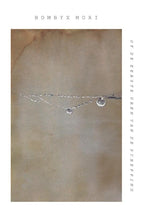 Bombyx-mori-boek-cover-9789083181387