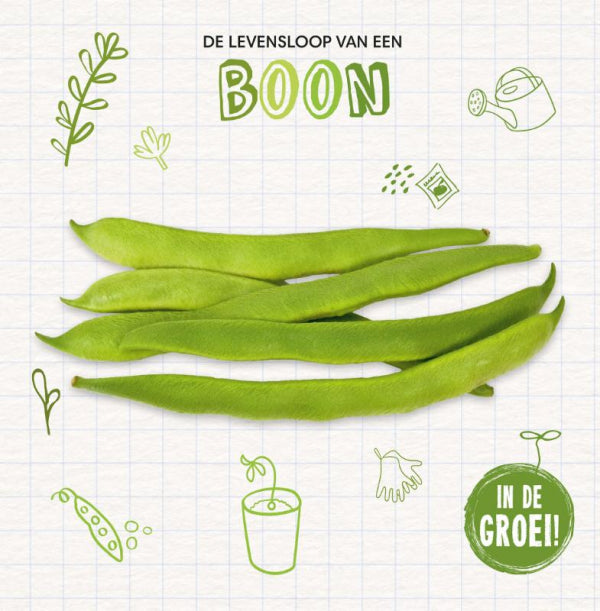 Boon-boek-cover-9789464397376