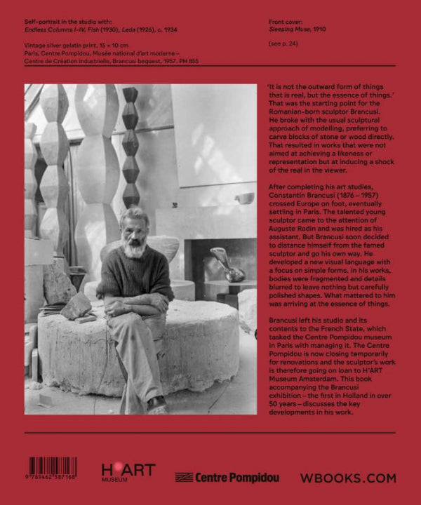 Brancusi-Engels-flaptekst-9789462587168
