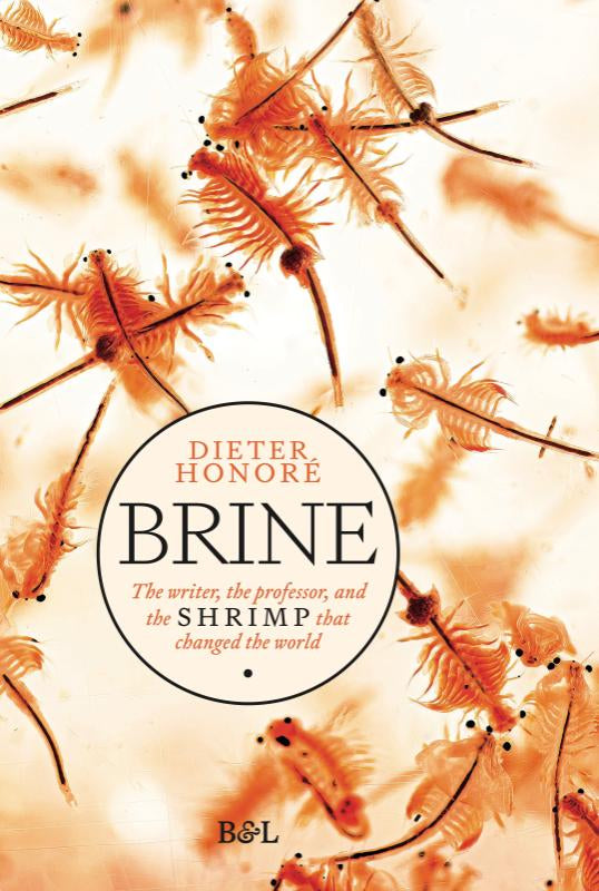 Brine-boek-cover-9789464983005