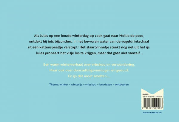 Brr-wat-is-het-koud-Jules-flaptekst-9789464599367
