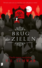 Brug-der-zielen-boek-cover-9789022599716