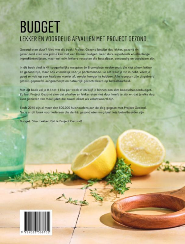 Budget-flaptekst-9789083568102