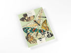 Butterflies-boek-cover-9789460098475
