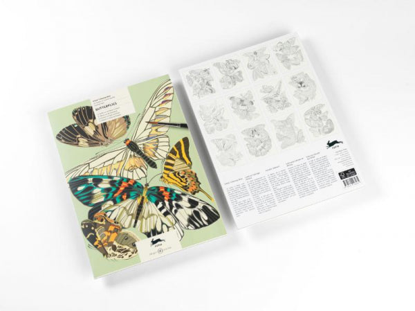 Butterflies-flaptekst-9789460098475