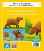 Capibara-flaptekst-9789464399004