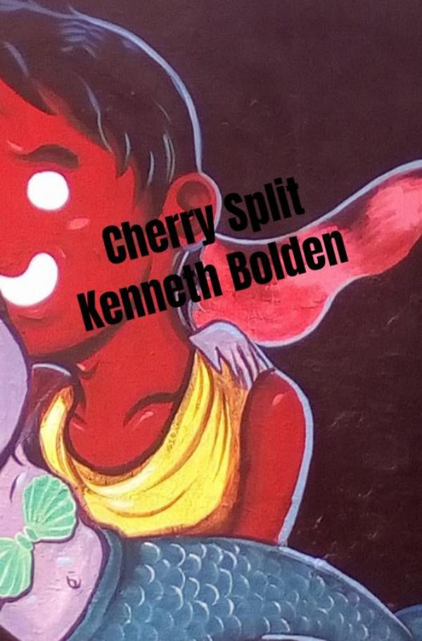 Cherry-Split-Kenneth-Bolden-boek-cover-9789403737515