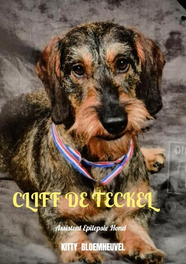 Cliff-de-Teckel-een-hond-van-goud-boek-cover-9789403882963