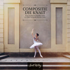 Compositie-die-knalt-boek-cover-9789463563826