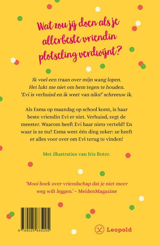 Confetti-vriendschap-flaptekst-9789025885205