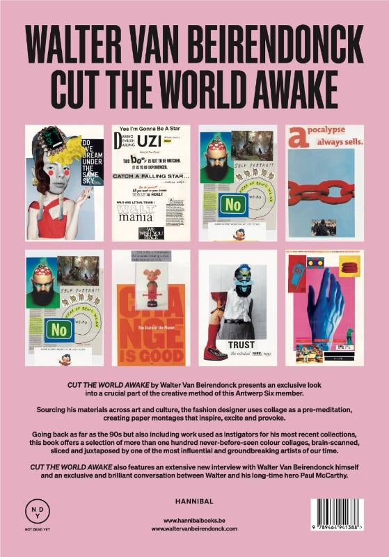 Cut-the-World-Awake-flaptekst-9789464941388