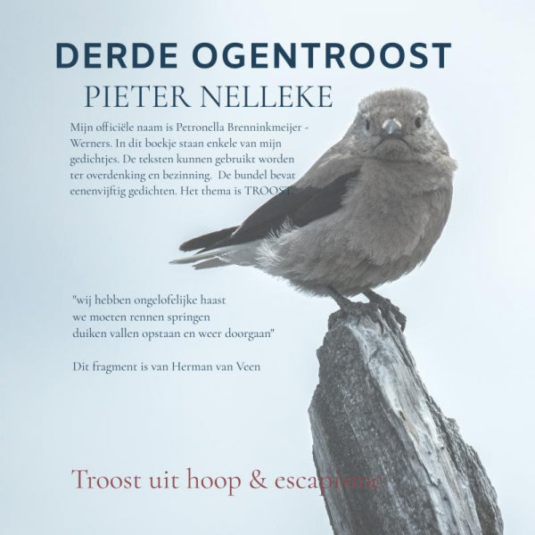 DERDE-OGENTROOST-boek-cover-9789403738413