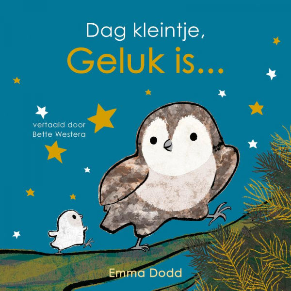 Dag-kleintje-geluk-is-boek-cover-9789025890599