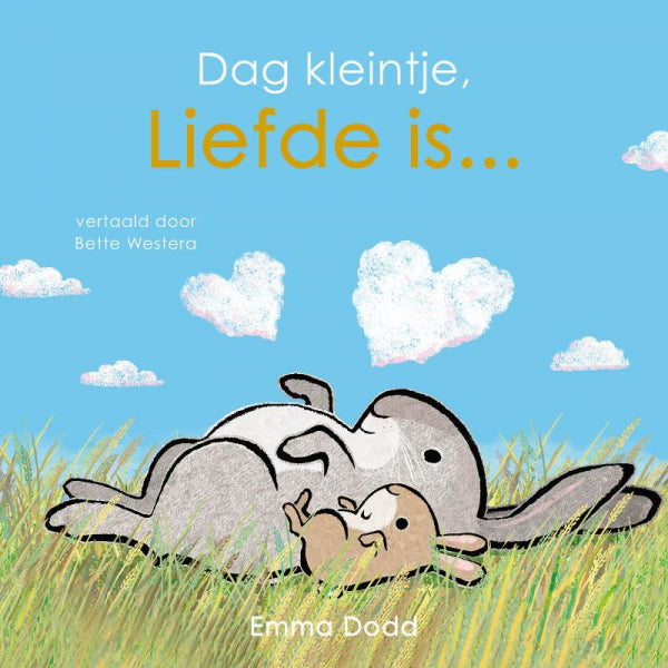 Dag-kleintje-liefde-is-boek-cover-9789025890582