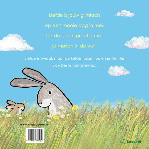 Dag-kleintje-liefde-is-flaptekst-9789025890582