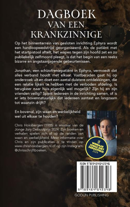 Dagboek-van-een-krankzinnige-flaptekst-9789464642346