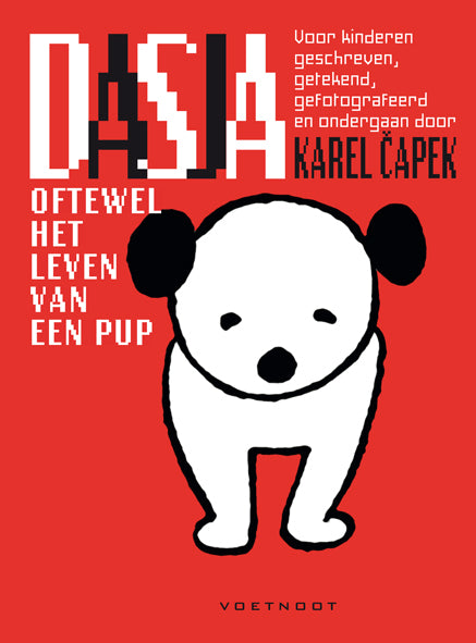 Dasja-boek-cover-9789491738449