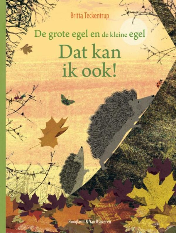 Dat-kan-ik-ook-boek-cover-9789089674074