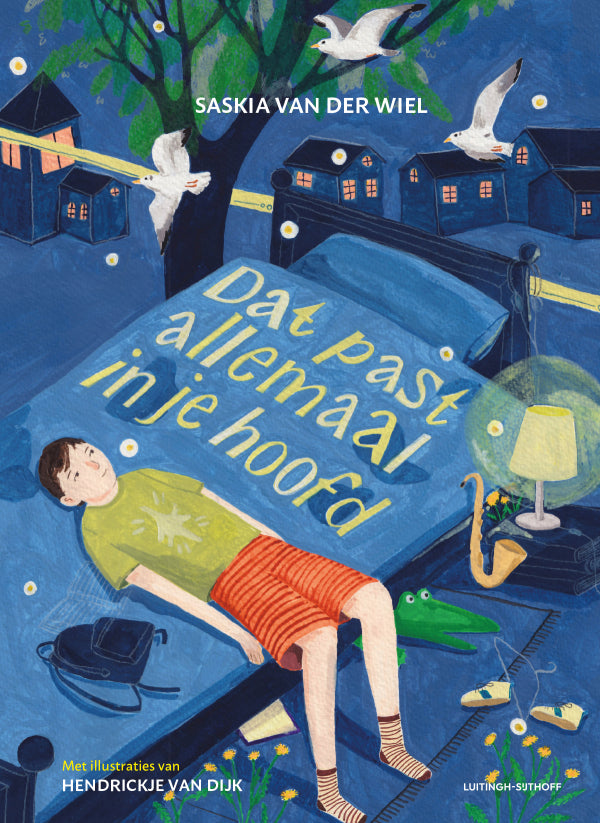 Dat-past-allemaal-in-je-hoofd-boek-cover-9789021064758