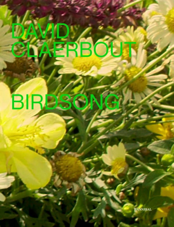 David-Claerbout-Birdsong-boek-cover-9789493416154