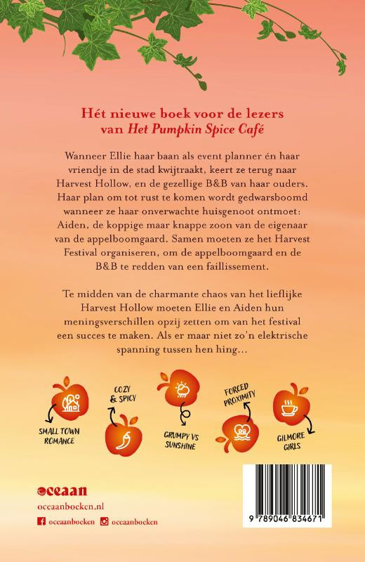 De-Apple-Spice-B-and-B-flaptekst-9789046834671