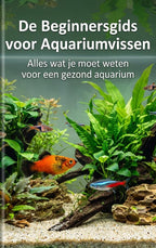 De-Beginnersgids-voor-Aquariumvissen-boek-cover-9789465591001