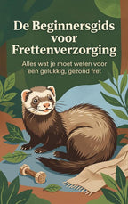 De-Beginnersgids-voor-Frettenverzorging-boek-cover-9789465581217