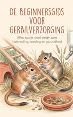 De-Beginnersgids-voor-Gerbilverzorging-boek-cover-9789465591056