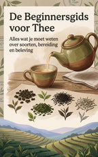 De-Beginnersgids-voor-Thee-boek-cover-9789465581118