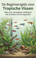 De-Beginnersgids-voor-Tropische-Vissen-boek-cover-9789465591049