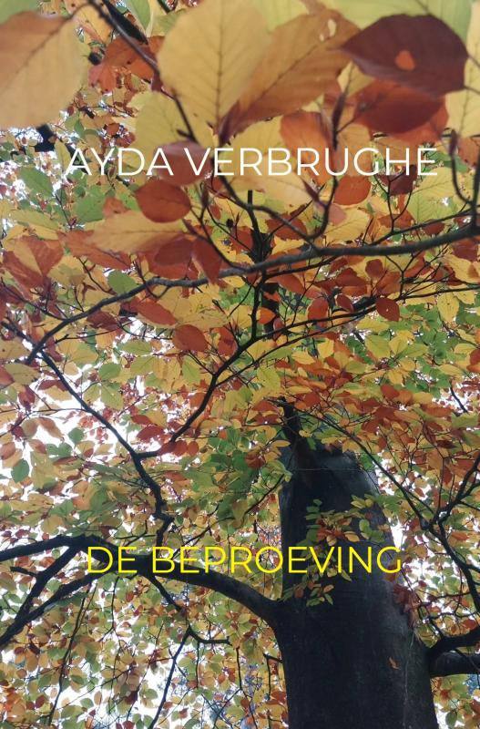 De-Beproeving-boek-cover-9789403856179