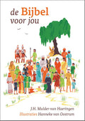 De-Bijbel-voor-jou-boek-cover-9789065394965