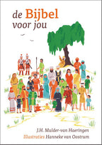 De-Bijbel-voor-jou-boek-cover-9789065394965