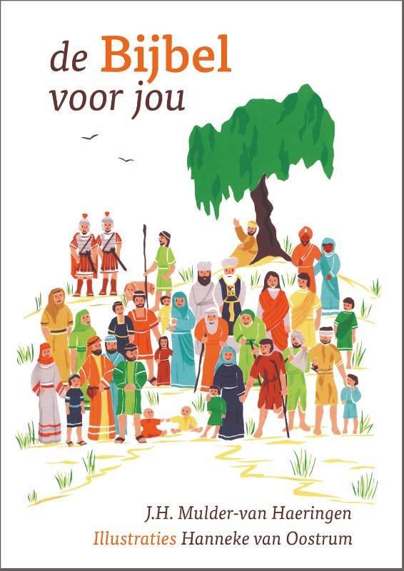 De-Bijbel-voor-jou-boek-cover-9789065394965