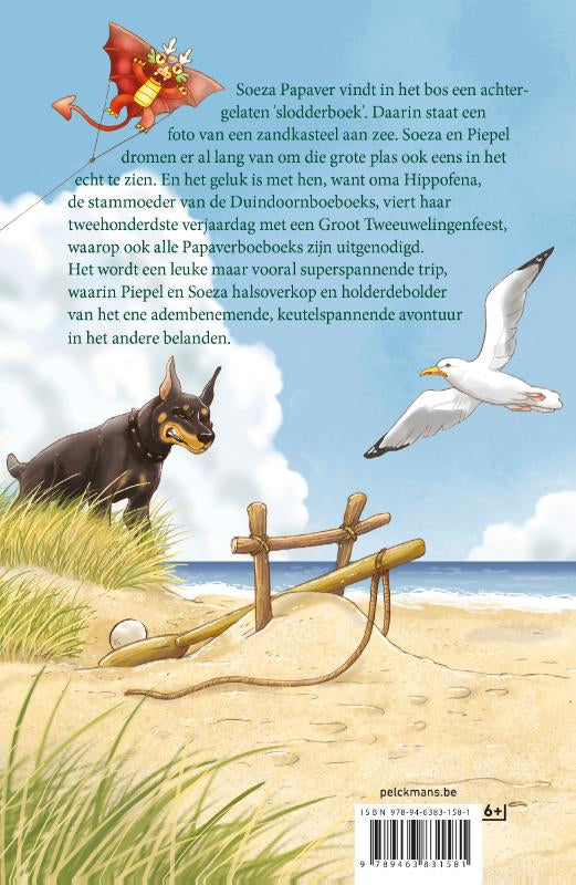 De-Boeboeks-aan-zee-flaptekst-9789463831581