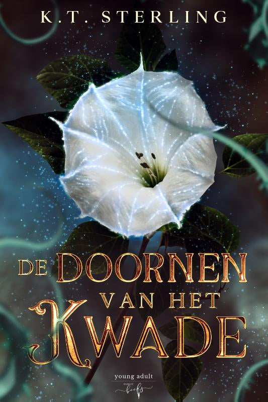 De-Doornen-van-het-Kwade-boek-cover-9789464945256