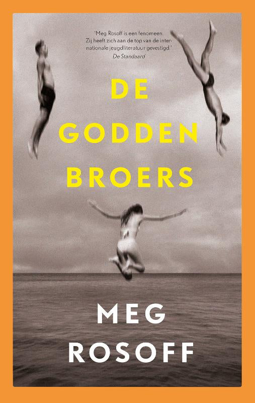 De-Godden-broers-boek-cover-9789024592357