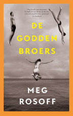 De-Godden-broers-boek-cover-9789024592357