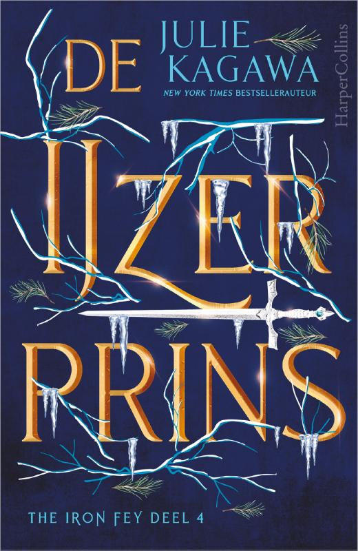 De-IJzerprins-boek-cover-9789402707380
