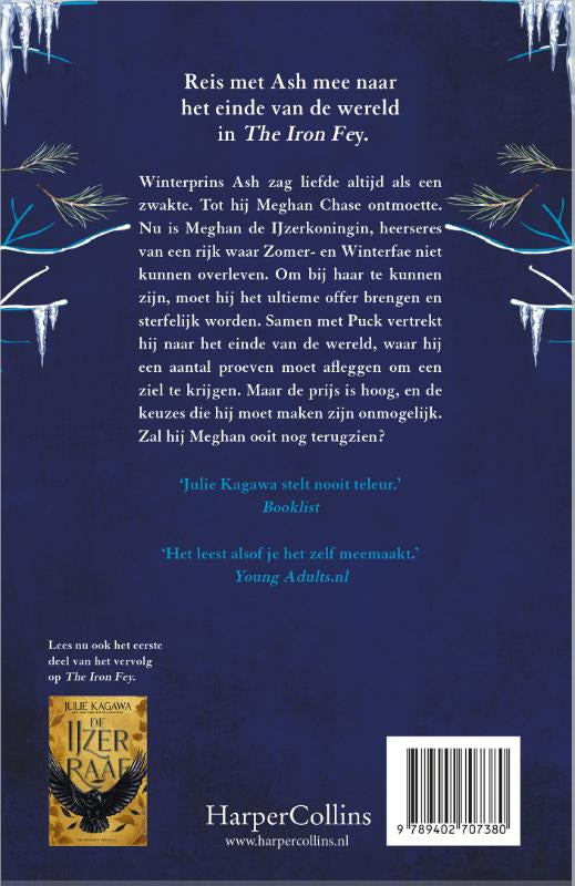 De-IJzerprins-flaptekst-9789402707380