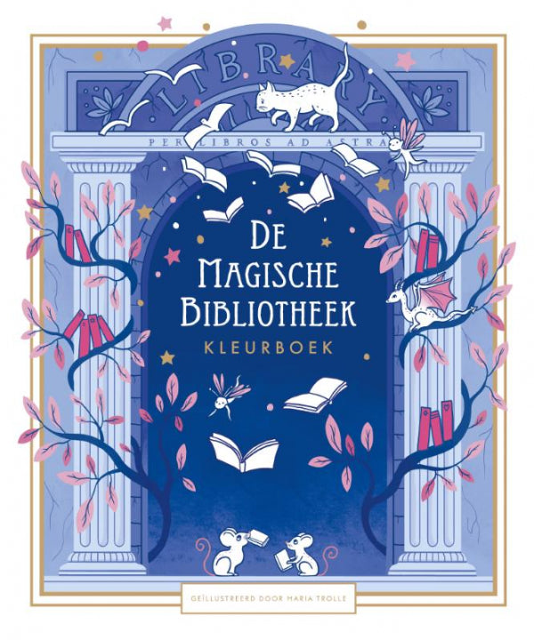 De-Magische-Bibliotheek-boek-cover-9789045331379