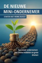 De-Nieuwe-Mini-ondernemer-Starten-met-Weinig-Budget-boek-cover-9789465191621