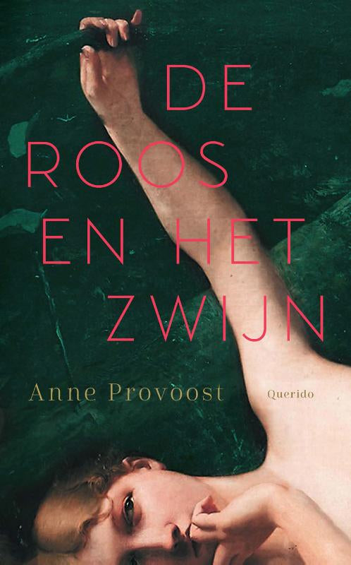 De-Roos-en-het-Zwijn-boek-cover-9789045127927