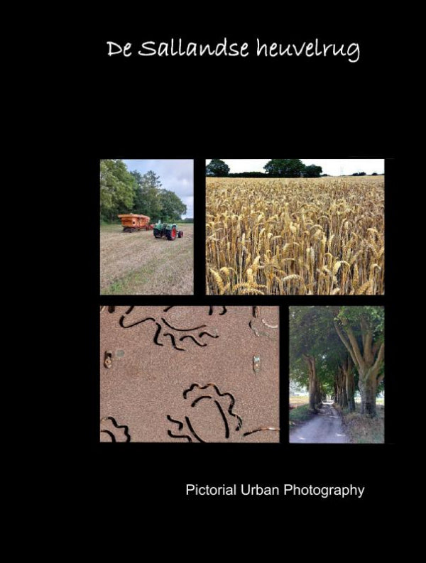 De-Sallandse-heuvelrug-boek-cover-9789403733050
