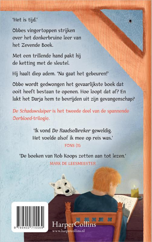 De-Schaduwsluiper-flaptekst-9789402715569