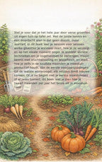 De-Vier-Seizoenen-Moestuin-flaptekst-9789465196688