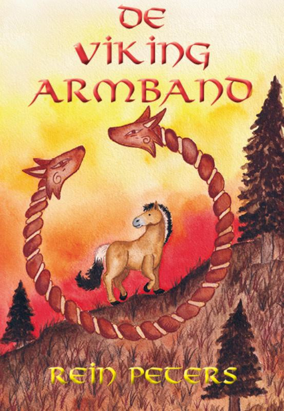 De-Viking-armband-boek-cover-9789493308411