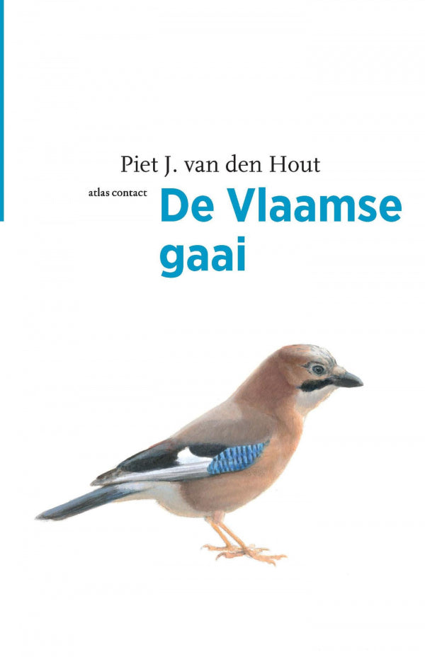 De Vlaamse gaai